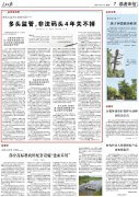 <b>｜多头监管京杭大运河姑苏段不法船埠4年关不掉</b>